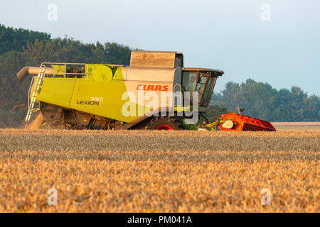 Claas Lexion 740 Mietitrebbia, Bawdsey, Suffolk, Inghilterra. Foto Stock