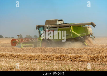 Claas Lexion 740 Mietitrebbia, Bawdsey, Suffolk, Inghilterra. Foto Stock