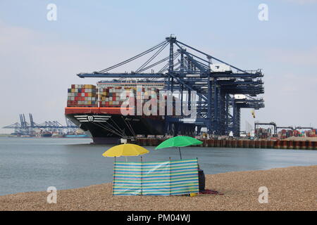 Contenitore nave sotto una gru a Felixstowe porta, con gente sulla spiaggia in primo piano, nei pressi di Landguard Fort. Foto Stock