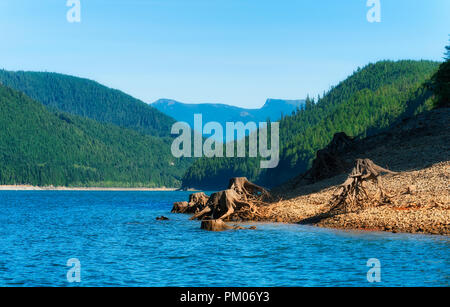 Rilasciando le acque al Lago di Detroit Dam rivela i resti di alberi che erano stati rimossi lungo la riva del lago. Foto Stock