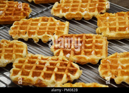 Cialde di Liegi o Luikse wafels in Belgio Foto Stock