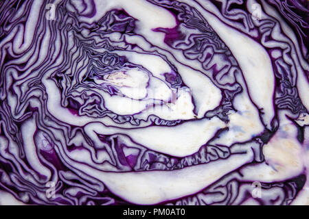 Texture di cavolo rosso. Schema naturale di viola e bianco. Foto Stock