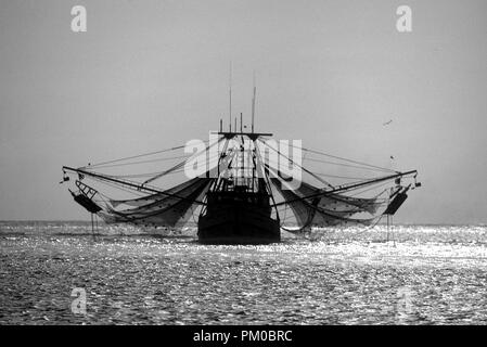 Gamberi di lavoro barca sulla costa del golfo degli Stati Uniti cattura selvatici freschi di gamberi e ostriche. Foto Stock