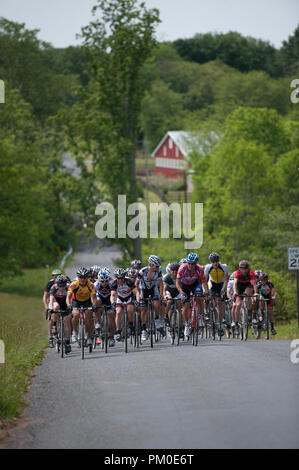 Stati Uniti - 21 Aprile: Il Poolesville bicicletta da corsa su strada in Poolsville Maryland. (Foto di Douglas Graham/Luce selvatici foto). Foto Stock