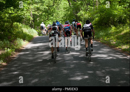 Stati Uniti - 21 Aprile: Il Poolesville bicicletta da corsa su strada in Poolsville Maryland. (Foto di Douglas Graham/Luce selvatici foto). Foto Stock