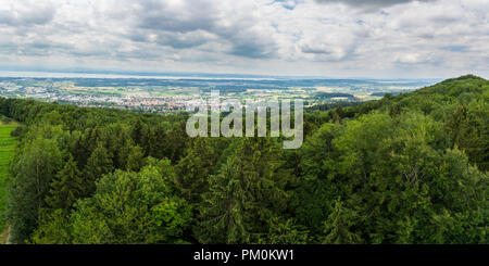 Germania, XXL panorama sulle cime degli alberi del lago di Costanza la natura paesaggio Foto Stock