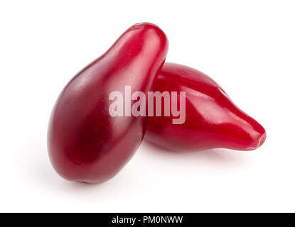 Bacche rosse di corniolo sanguinello o isolati su sfondo bianco Foto Stock