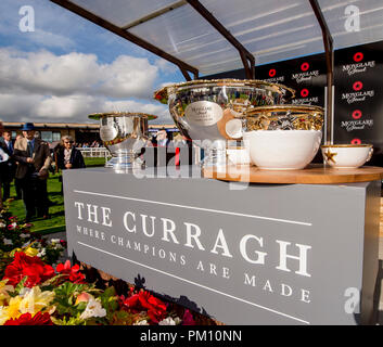 Curragh, KIL, STATI UNITI D'AMERICA. Xvi Sep, 2018. 16 settembre 2018 : Skitter Scatter, cavalcato da Ronan Whelan, vince il prigioniero Moyglare picchetti su campioni irlandesi Stakes giorno a Curragh Racecourse, il 16 settembre 2018 in Curragh, Irlanda. Scott Serio/ESW/CSM/Alamy Live News Foto Stock