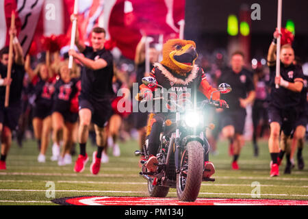 Utah, Stati Uniti d'America. Xv Sep, 2018. La Utah mascotte all inizio del NCAA college football gioco tra Washington e Utah di sabato 15 settembre, 2018 a Rice-Eccles Stadium di Salt Lake City, UT. Giacobbe Kupferman/CSM Credito: Cal Sport Media/Alamy Live News Foto Stock