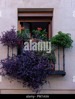 Balcone con cancellata in ferro battuto e viola e fiori di colore rosso con un sacco di verde sulla facciata di una casa vecchia Foto Stock