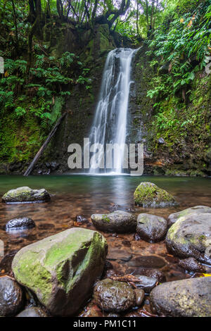 Situato in Faial da terra e raggiungibile sia con il percorso pedonale di Sanguinho o dal salto fare Prego cascata Sao Miguel Azzorre Foto Stock