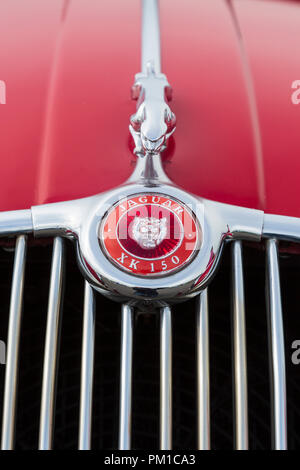 Jaguar XK150, cofano dettaglio con saltando mascotte cat, radiatore badge e la griglia del radiatore. 1957 - 1961 Foto Stock