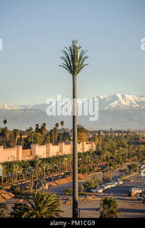 26-02-15, Marrakech, Marocco. Un telefono cellulare duisguised montante come un albero di palma. Foto © Simon Grosset Foto Stock