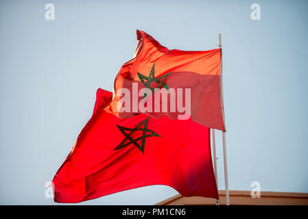 26-02-15, Marrakech, Marocco. Moroccon bandiere nazionali battenti. Foto © Simon Grosset Foto Stock