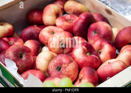 Cassa di pesche fresche in vendita nel mercato di Borough, Southwark, Londra UK Foto Stock