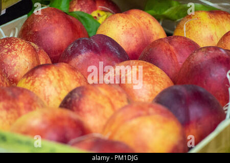 Nettarine fresche in vendita nel mercato di Borough, Southwark, Londra UK Foto Stock