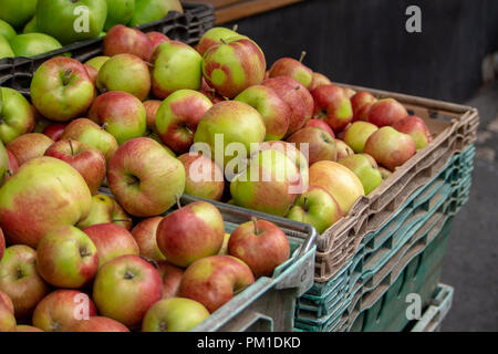 Appena raccolto le mele in una cassa in vendita nel mercato di Borough, Southwark, Londra UK Foto Stock