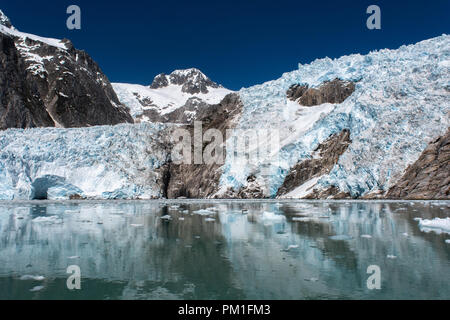 Diverse le guarnizioni del porto il resto su ghiaccio chalved dal ghiacciaio di nord-ovest che fornisce una cortina di ghiaccio in background. Foto Stock