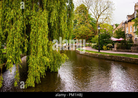 Salici piangenti e passerella ad arco in pietra sul fiume Windrush nel villaggio di Burton-on-the-Water, nelle Cotswolds, in Inghilterra. Foto Stock