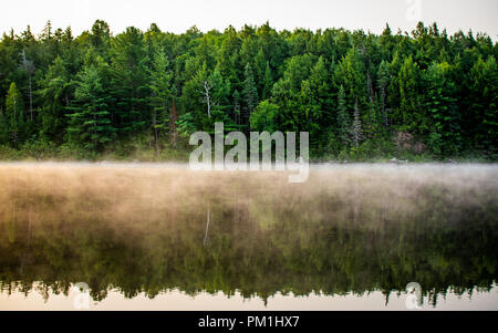Evergreen canadian forest riflessione sul lago nebbioso Foto Stock
