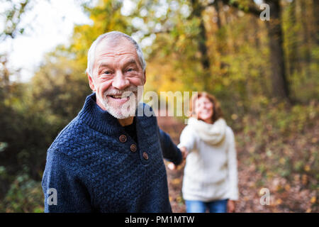 Un ritratto di una coppia senior passeggiate in una natura d'autunno. Foto Stock