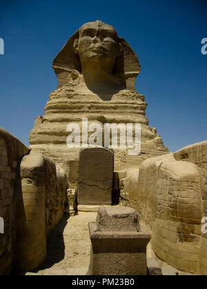 Close up viste la Grande Sfinge di Giza in Egitto in una limitata area di accesso. Questo è un importante destinazione turistica e importante sito archeologico. Foto Stock