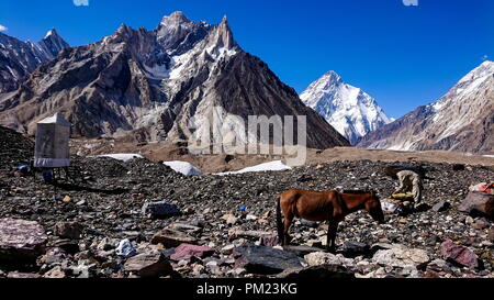 Asini a piedi passano il colorato tende da campeggio sul modo di K2 base camp con karakorum gamma in background in serata Foto Stock