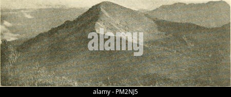 " Un anno di Costa Rican Natural History' (1917) Foto Stock