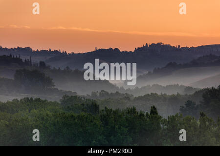 Un inizio di mornig vista delle dolci colline e gli alberi nei pressi di Buonconvento, Toscana, Italia. Foto Stock