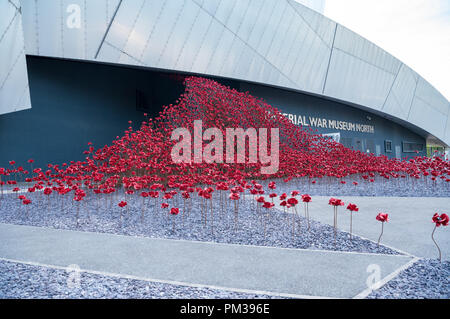 Papaveri in ceramica presso l'Imperial War Museum North, Salford Quays, Manchester Foto Stock