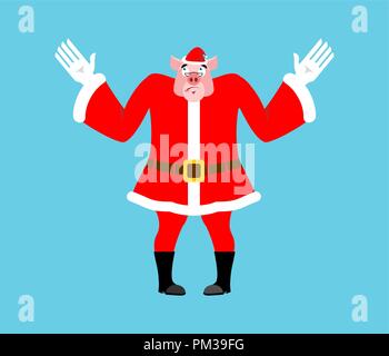 Sorpreso Santa maiale. Perplesso piggy in tuta rossa. Colpito animale di Natale Illustrazione Vettoriale