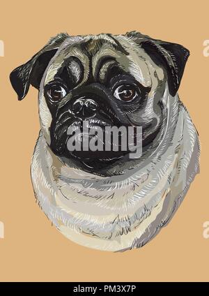 Pug vettore di disegno a mano illustrazione in diversi colori su sfondo beige Illustrazione Vettoriale