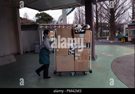 Il personale di vendita del lavoratore panda orsetti presso lo zoo di Ueno a Tokyo, Giappone, Asia Foto Stock