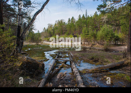 Arshan al Sayan montagne in Buriatya, Siberia - Russia . Foto Stock