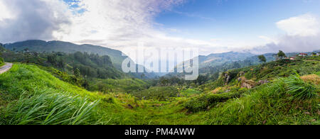 Mattina panorama sulla vallata vicino Lipton il sedile, un alto punto panoramico nella piantagione di the hills, Dambethenna, Haputale, uva, Sri Lanka Foto Stock