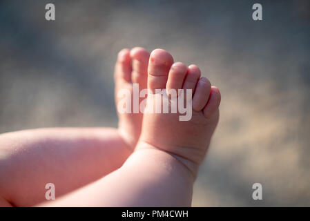 Le gambe del bambino, feets 6 mese baby Foto Stock