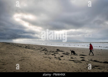 Una donna cammina il suo cane su Pendine Sands, Camarthenshire, come forecasters hanno retrocesso avvertimenti che la Tempesta Helene potrebbe rappresentare un rischio per la vita quando si raggiunge questa settimana, ma ha messo in guardia le comunità costiere a rimanere vigili. Foto Stock