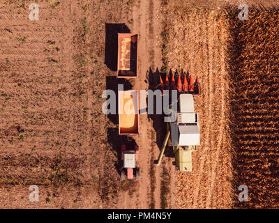 La fotografia aerea di mietitrebbia versando raccolte di chicchi di mais in trattore carrello di carico Foto Stock