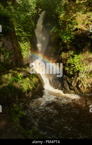 Aira Force cascata sull'Aira Beck, Parco Nazionale del Distretto dei Laghi, Cumbria, England, Regno Unito Foto Stock