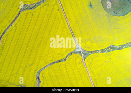 Vista aerea del campo di canola, Midwest, Australia occidentale Foto Stock