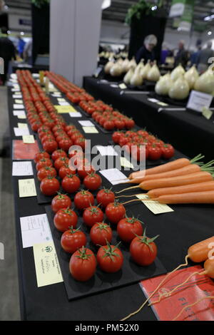 Harrogate Flower Show 2018 Harrogate, nello Yorkshire, Regno Unito. 18 Settembre, 2018. Harrogate autunno annuale Flower Show Foto Stock