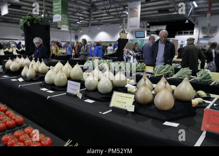 Harrogate Flower Show 2018 Harrogate, nello Yorkshire, Regno Unito. 18 Settembre, 2018. Harrogate autunno annuale Flower Show Foto Stock