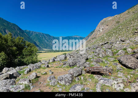 Sulla montagna nella valle Chulyshman, Ulagansky District, Altai Repubblica, Russia Foto Stock