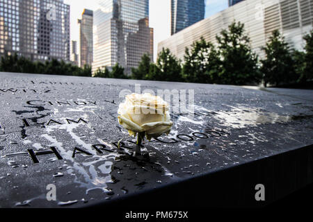 Una rosa per non dimenticare - World Trade Center di New York, 2018 Foto Stock