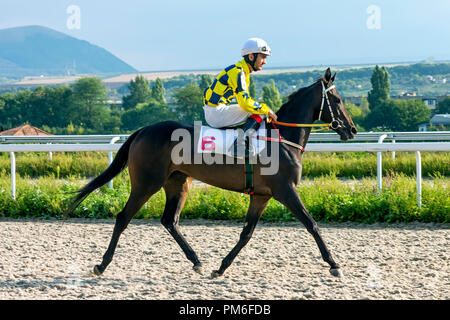 PYATIGORSK, Russia - 16 settembre 2018:prima corsa di cavalli per il premio in onore di Klyukovsky sul Pyatigorsk ippodromo,Russia.Master Hatk jockey Foto Stock