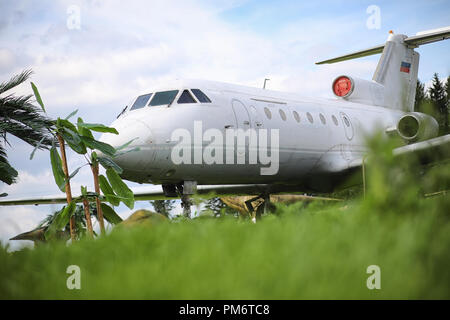 Piano nella giungla. L'aereo è atterrato nella fitta vegetazione di Foto Stock