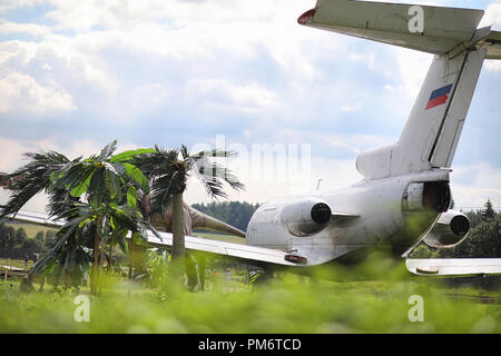 Piano nella giungla. L'aereo è atterrato nella fitta vegetazione di Foto Stock