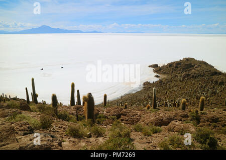 Puro bianco Salar de Uyuni, il più grande del mondo di saline vista da Isla Incahuasi, il campo di Cactus isola nel mezzo delle saline, Bolivia Foto Stock