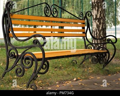Giallo panca di legno in un parco di autunno tra le betulle e gli alberi di salice Foto Stock