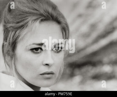 Faye Dunaway, "un luogo per gli amanti dei 1968. Riferimento al file # 30928 432 THA Foto Stock